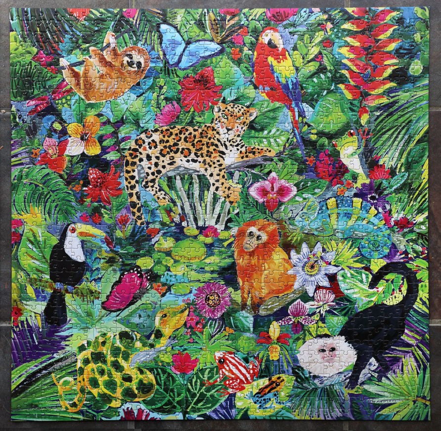 Materiel Artistique eeBoo | Puzzle 1000 Pieces Foret Amazonienne